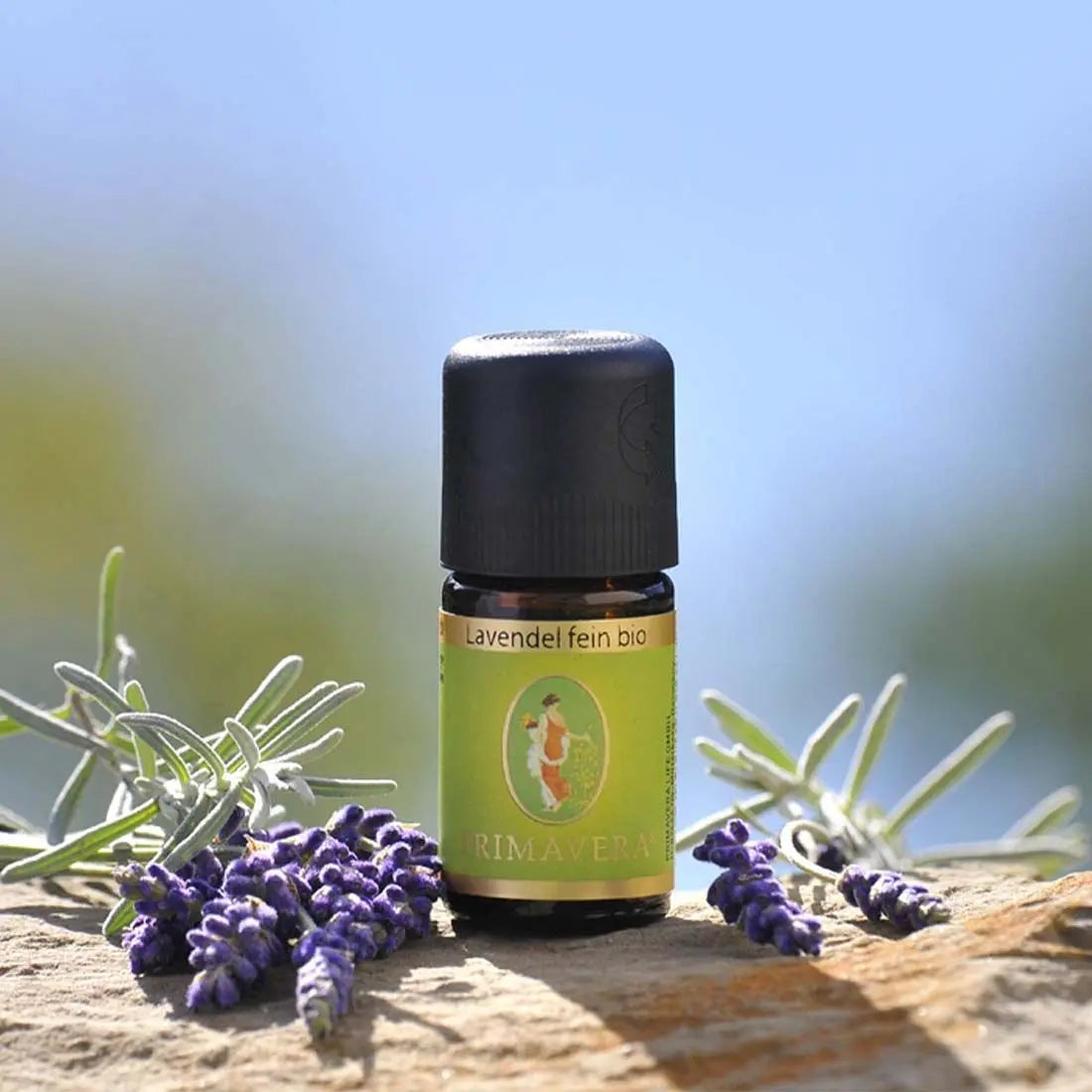 Lavendel fein bio